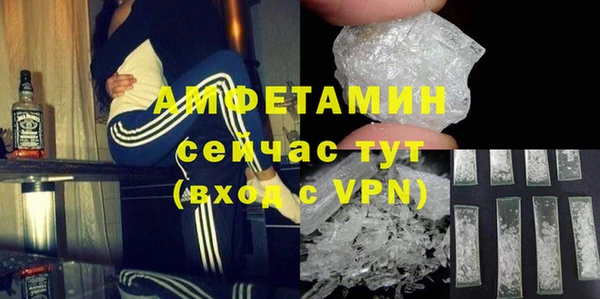 гидра Аркадак
