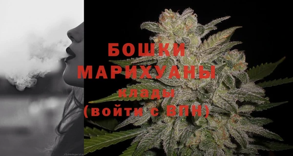 крисы Баксан