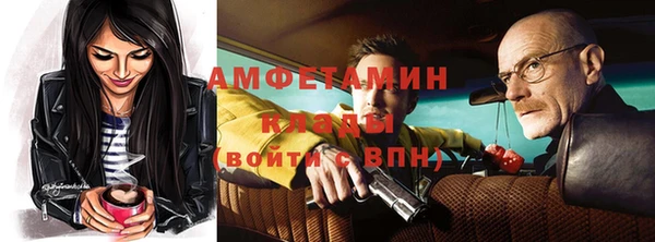 сатива Арсеньев